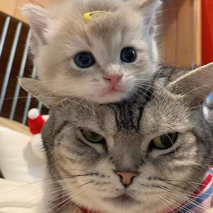 偷拍男路边撒尿合集Gay2022
